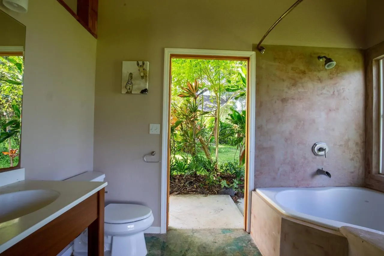 Kalani Oceanside Retreat Villa Pahoa